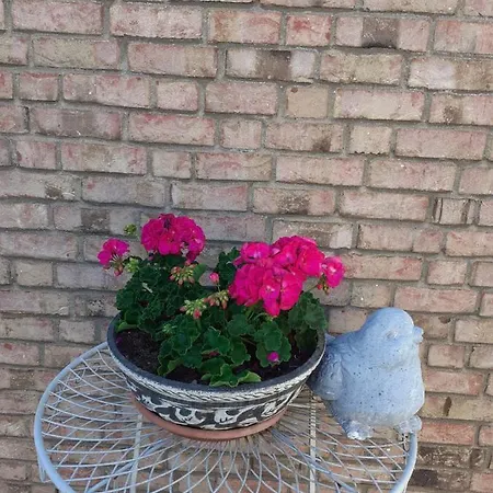 Apartament Jax
